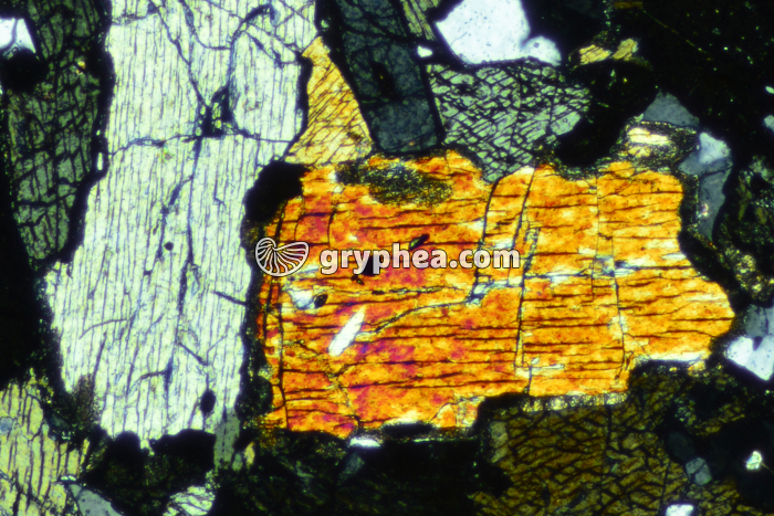 Jadéite LPA x10 - gryphea.org